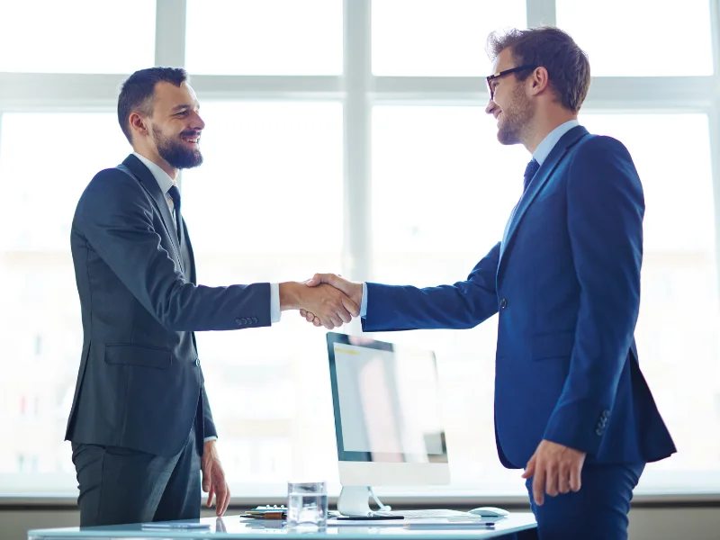 wordpress seo consultant