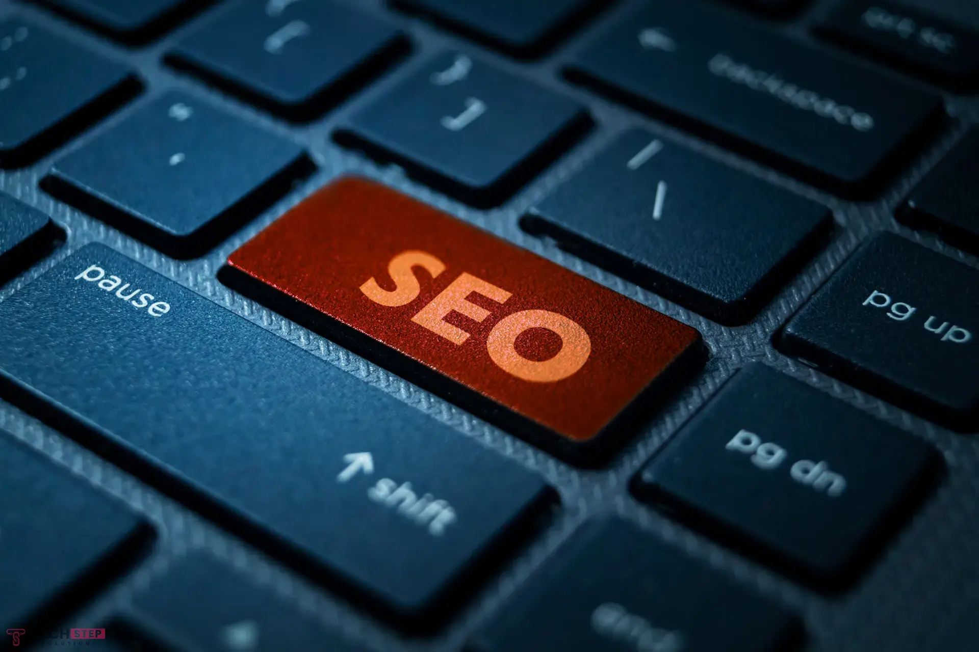 what is organic seo services​